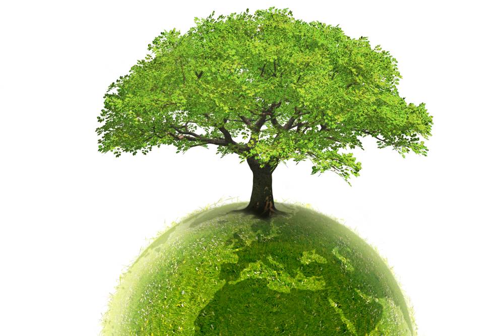 Graduado en Ciencias Ambientales