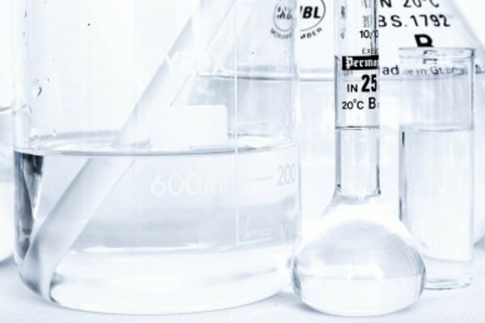 Prácticas Erasmus+: Grado en Biología en Portugal